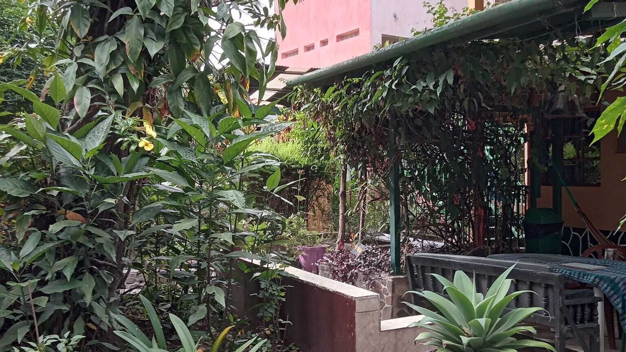 Photo of Outdoor in Panajachel