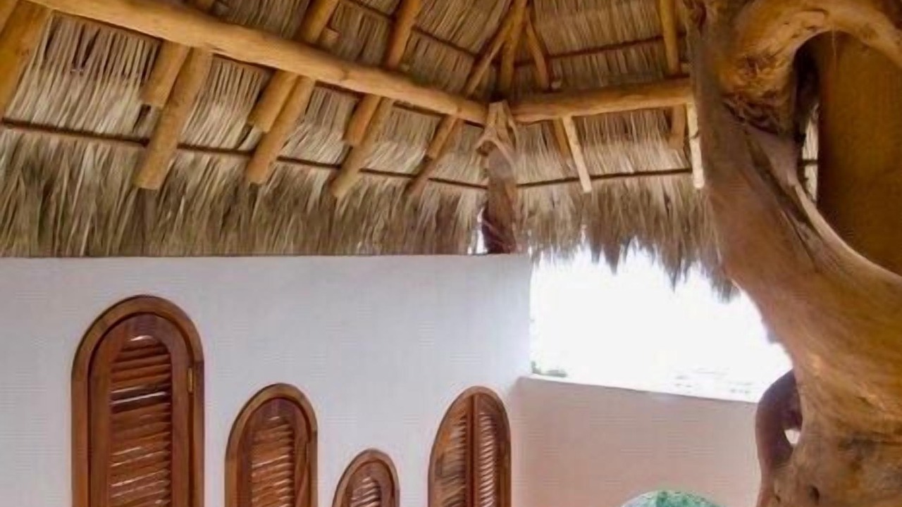 Photo of Others in Amapas