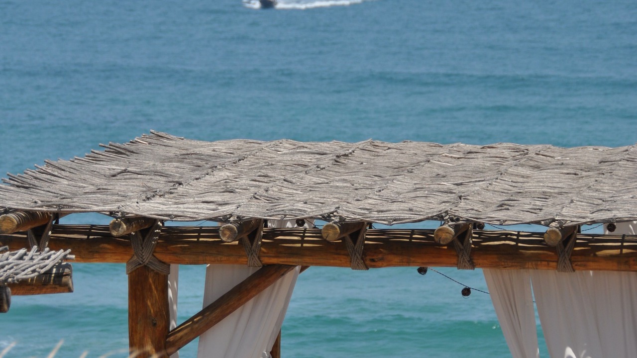 Photo of Outdoor in Los Cabos