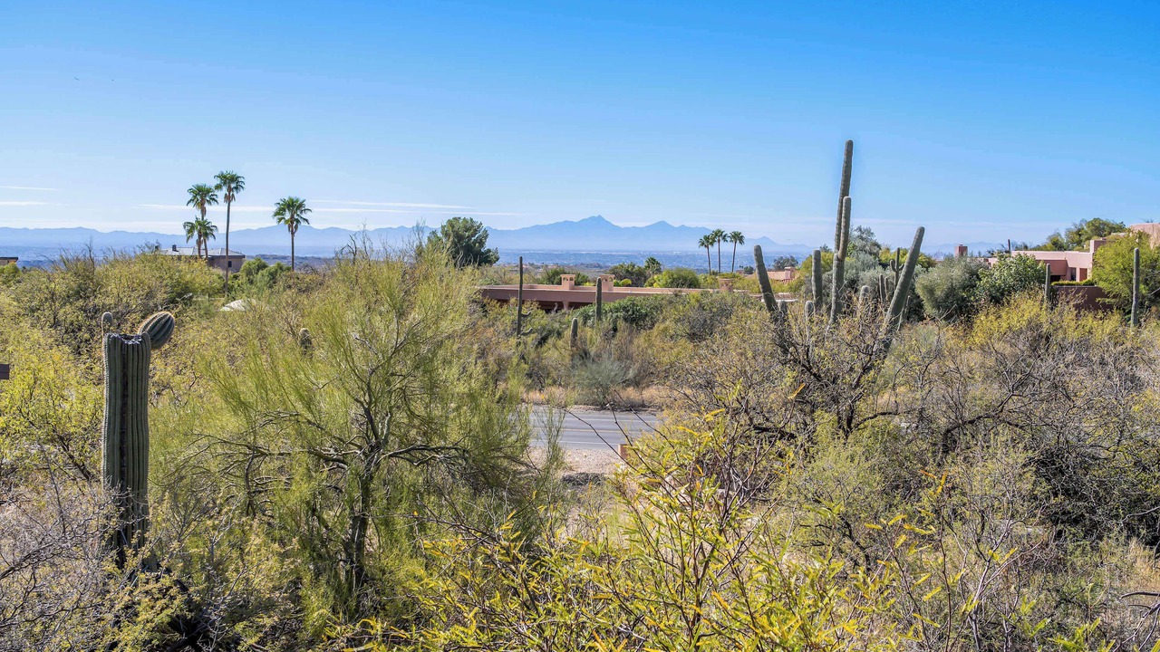 Photo of Others in Tucson