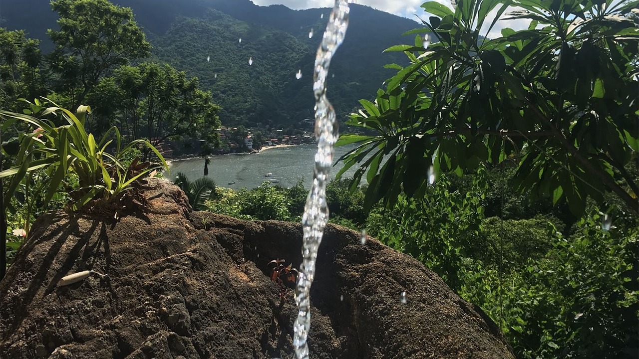 Photo of Others in Yelapa