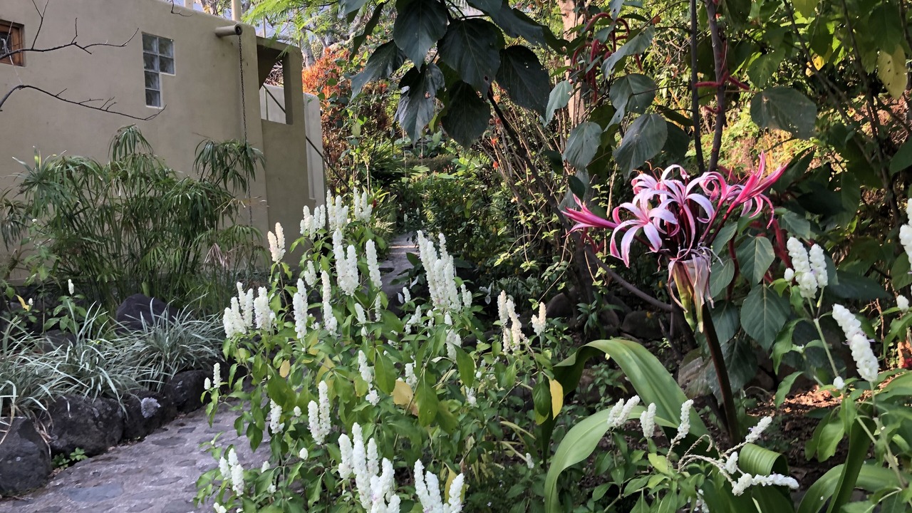 Photo of Outdoor in Santa Cruz La Laguna