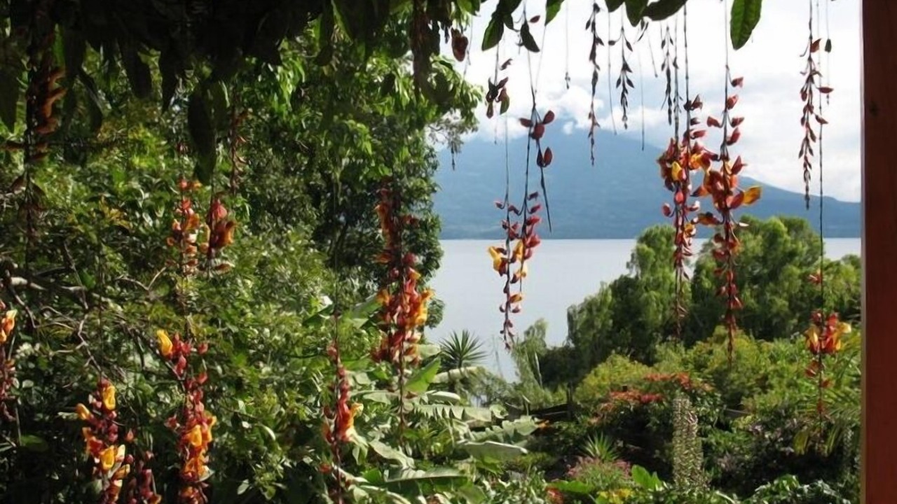Photo of Outdoor in Santa Cruz La Laguna