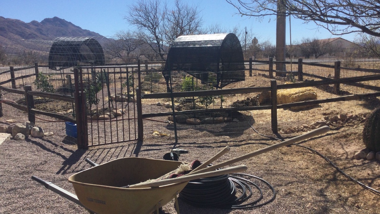 Photo of Outdoor in Rio Rico Northeast
