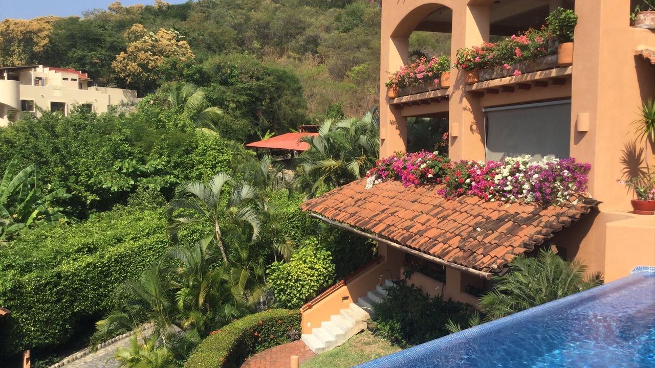 Photo of Outdoor in Zihuatanejo