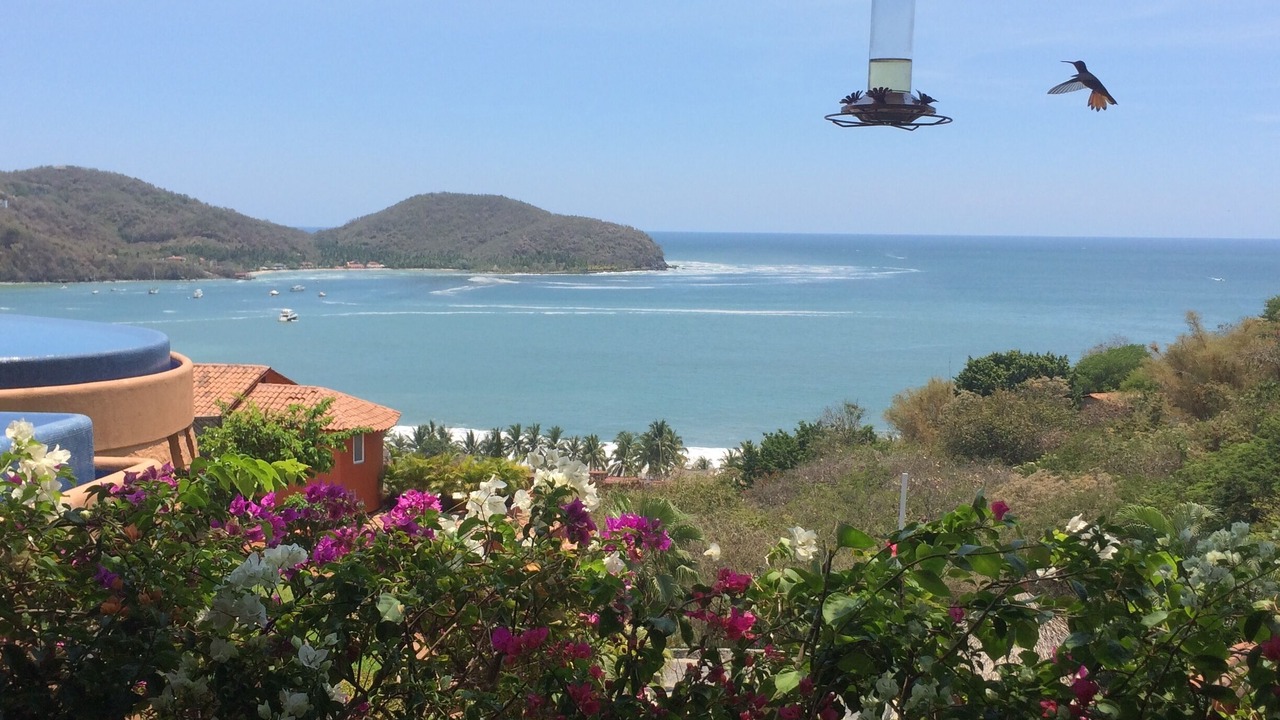 Photo of Others in Zihuatanejo