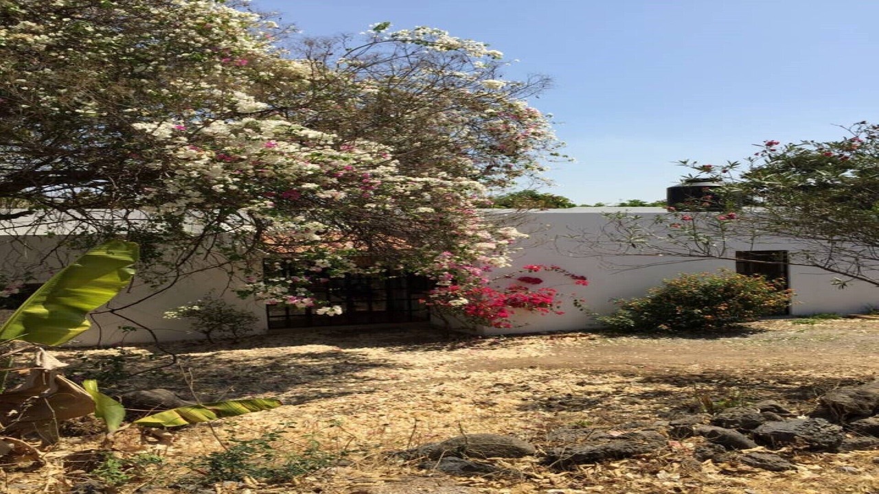 Photo of Outdoor in Jiutepec