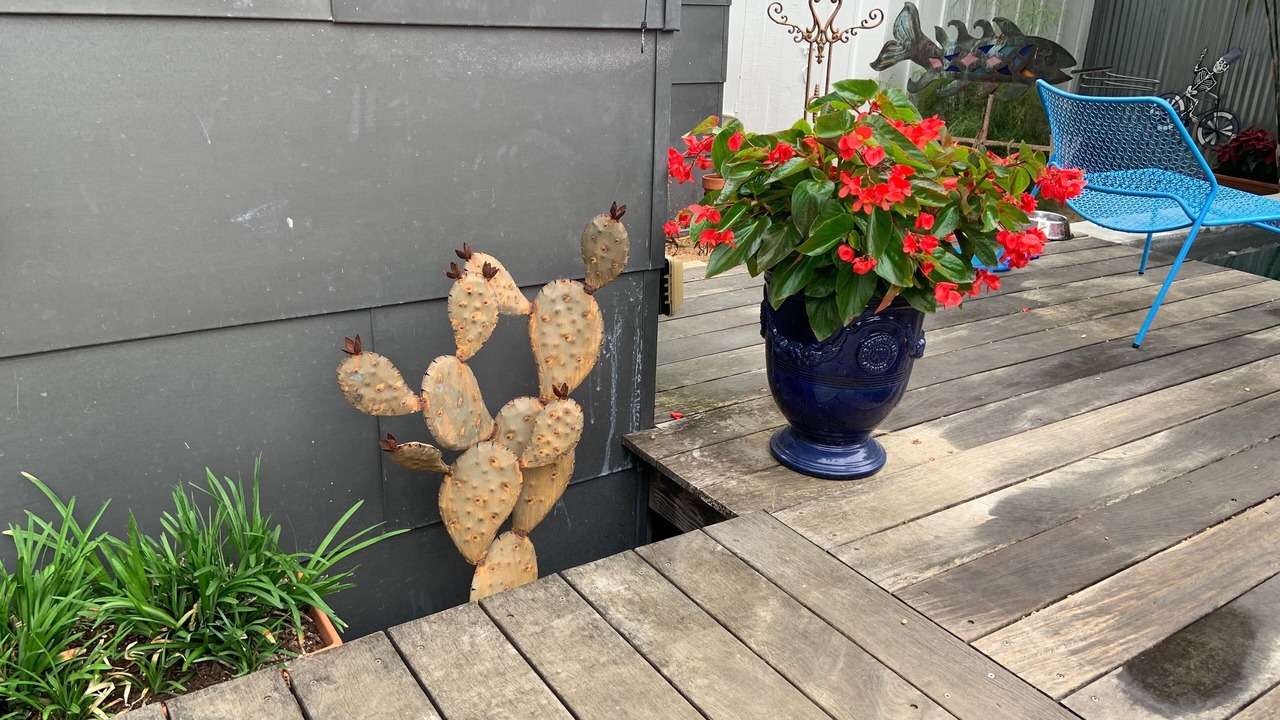Photo of Outdoor in Southtown