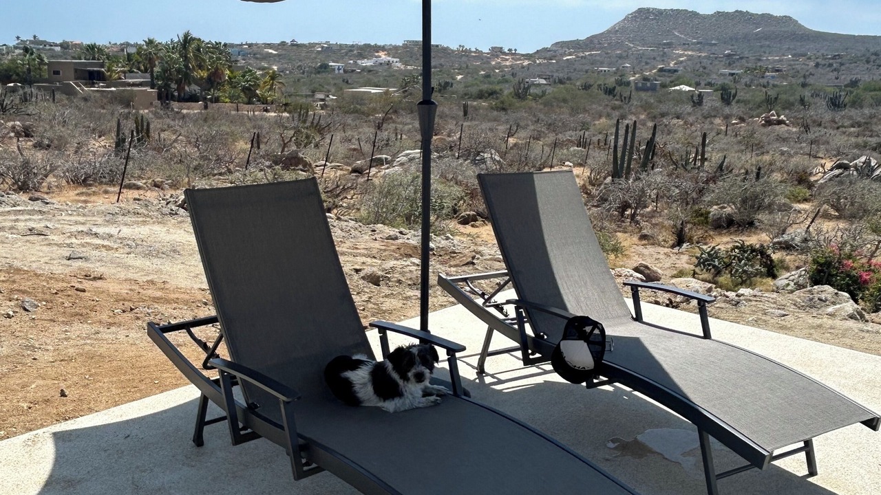 Photo of Patio Balcony in Los Zacatitos