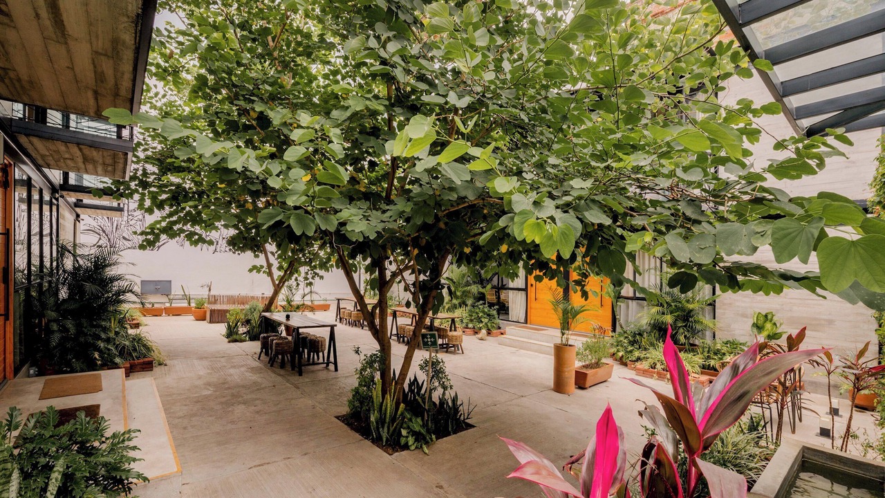Photo of Patio Balcony in Centro