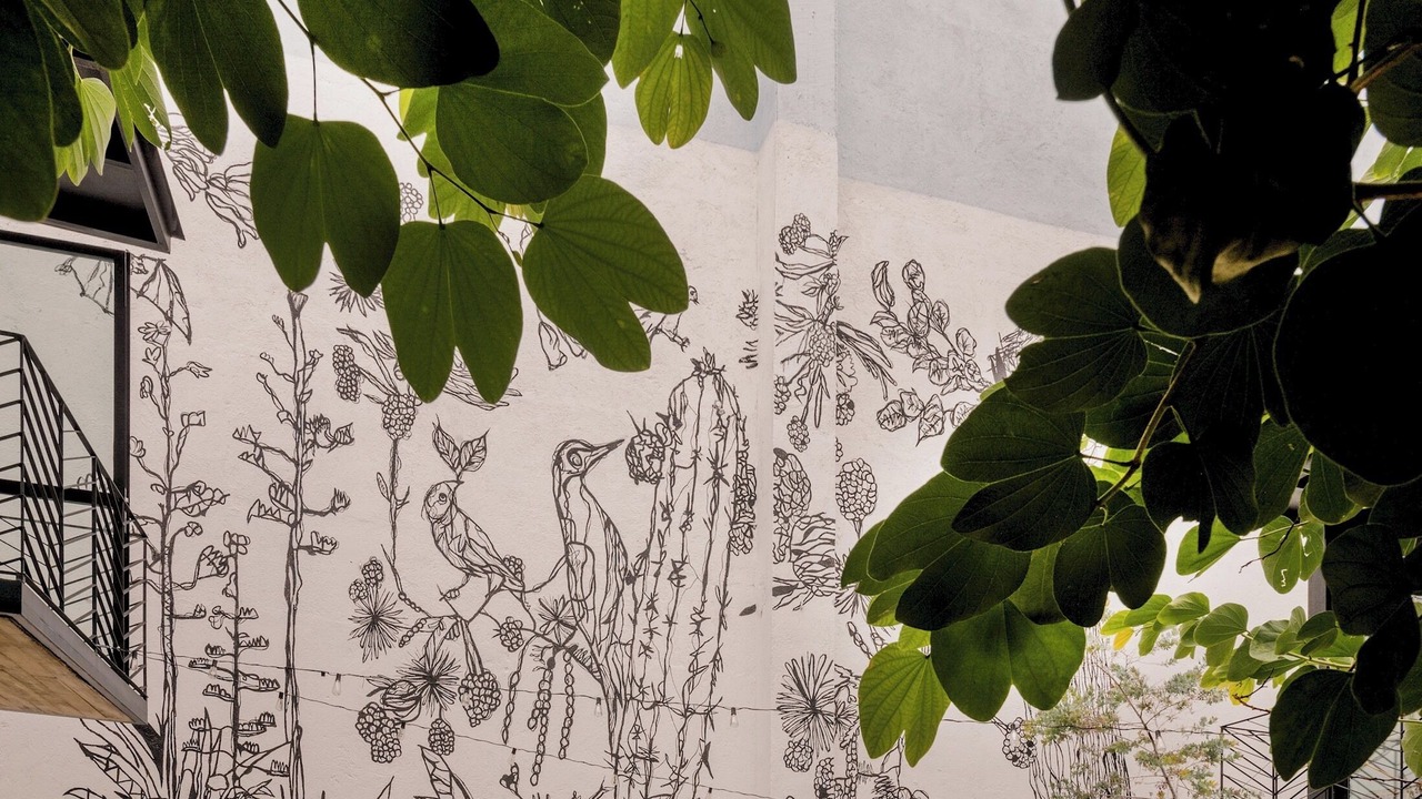 Photo of Outdoor in Centro