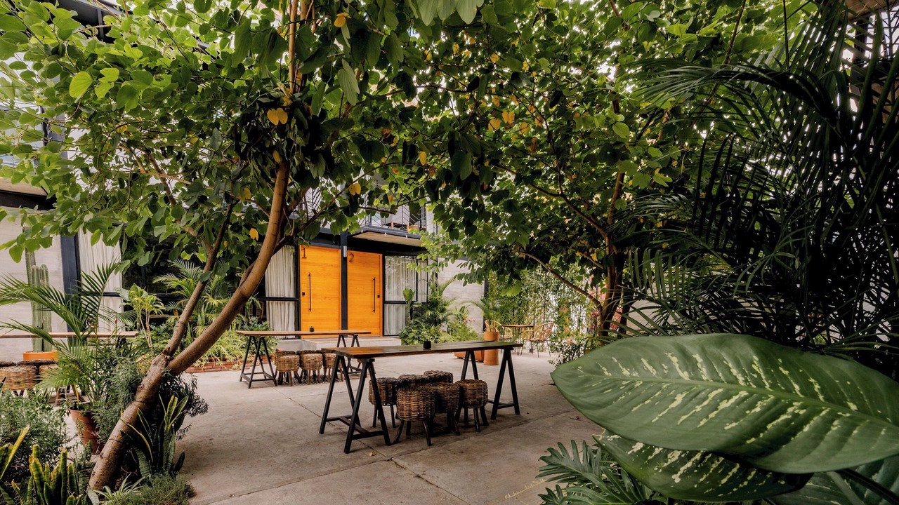 Photo of Outdoor in Centro