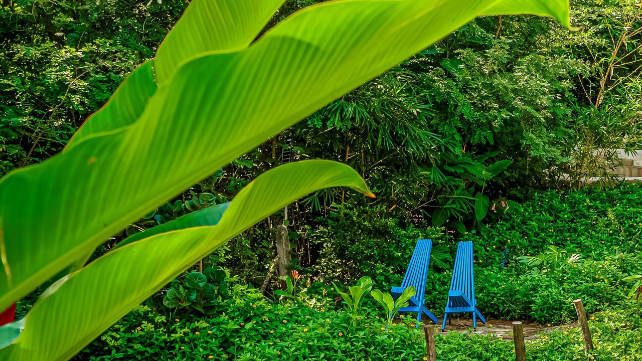 Photo of Outdoor in Isla Navidad