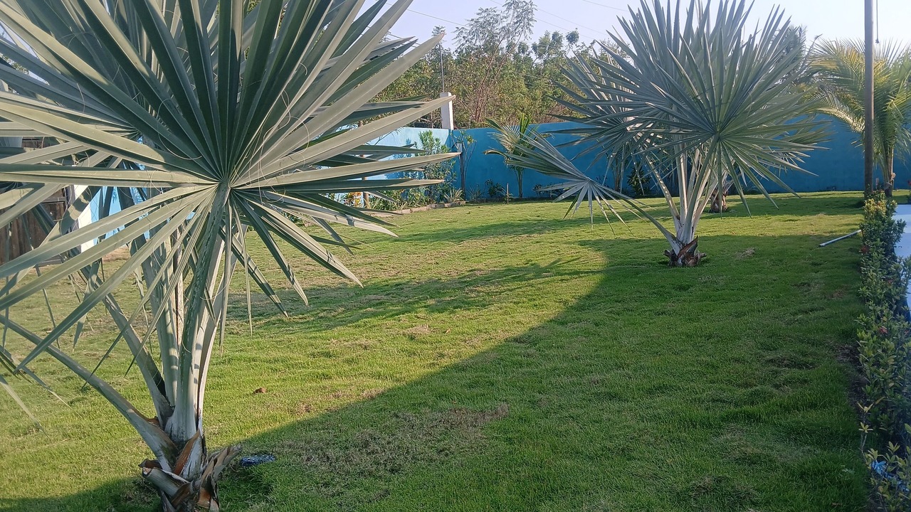 Photo of Outdoor in Taxisco