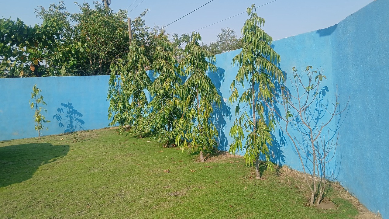 Photo of Outdoor in Taxisco