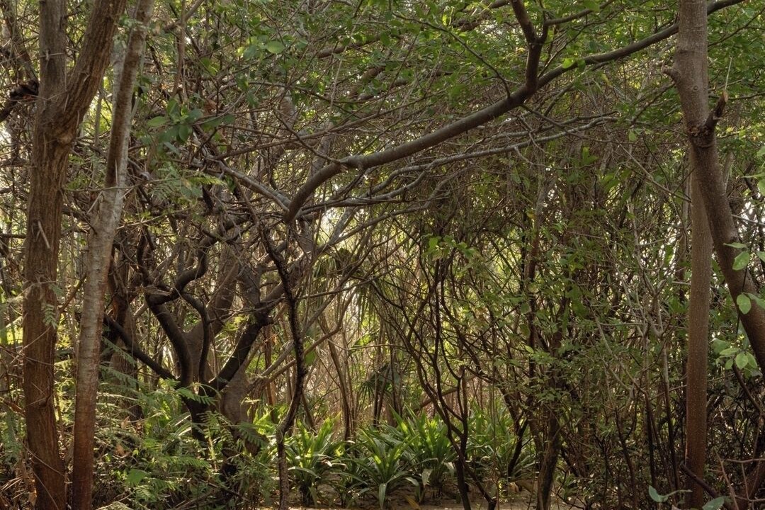 Photo of Others in Puerto Escondido
