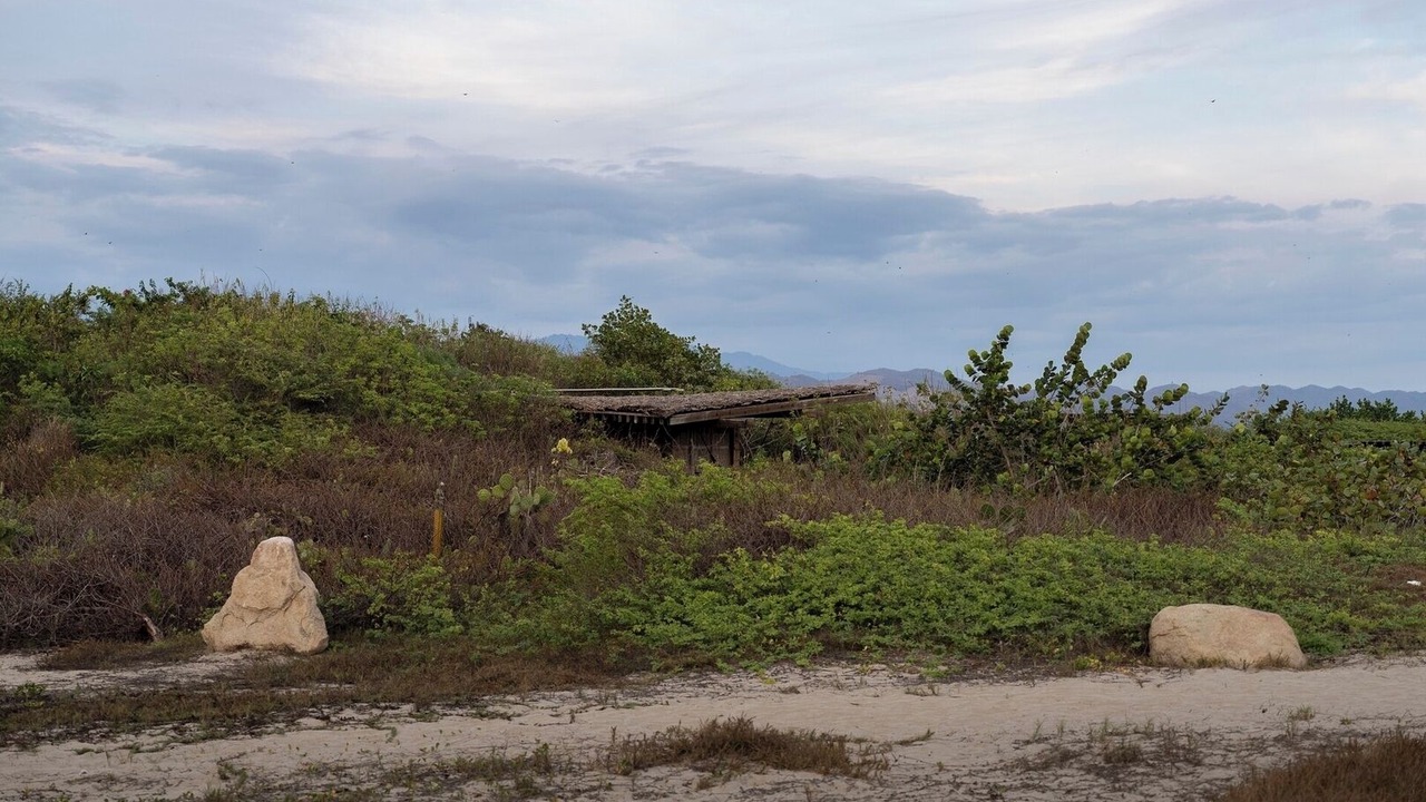Photo of Others in Puerto Escondido