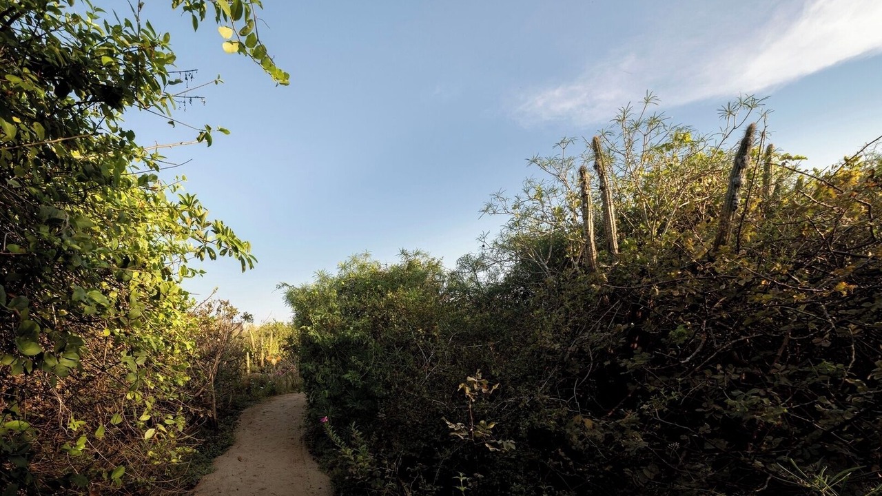 Photo of Others in Puerto Escondido
