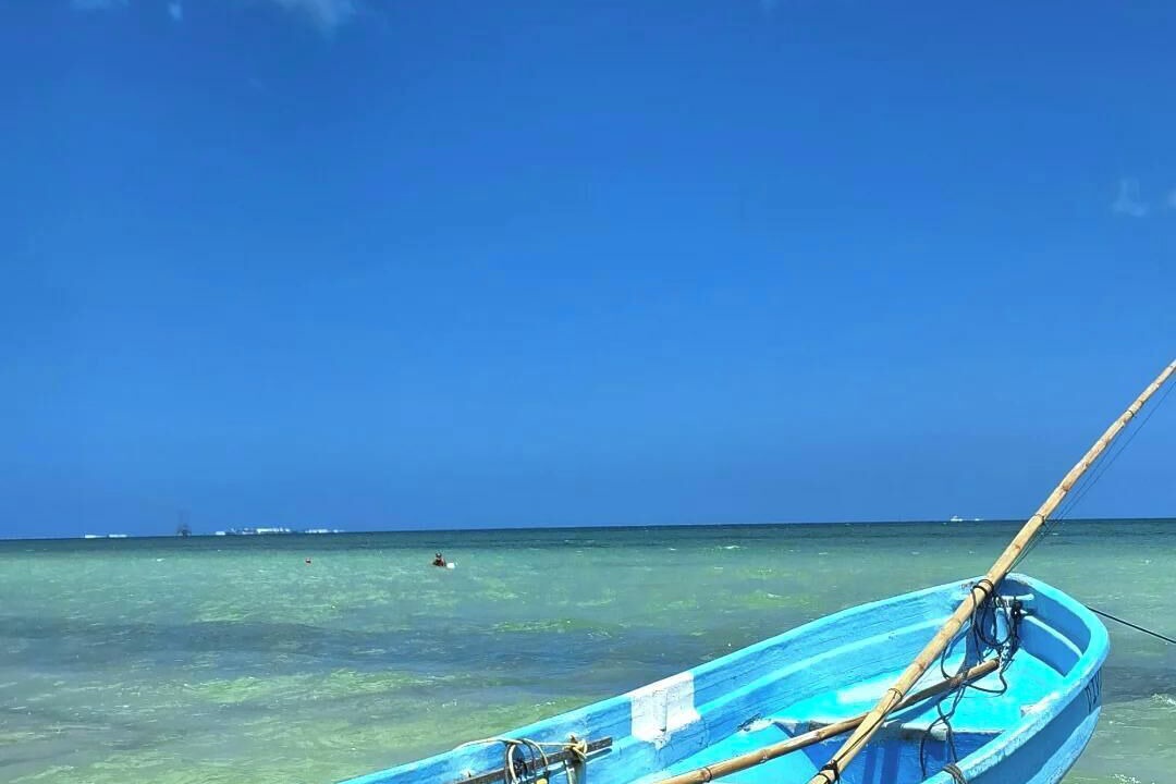 Photo of Others in Chicxulub Puerto