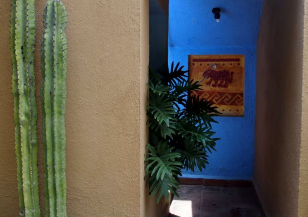 Photo of Outdoor in Jiutepec