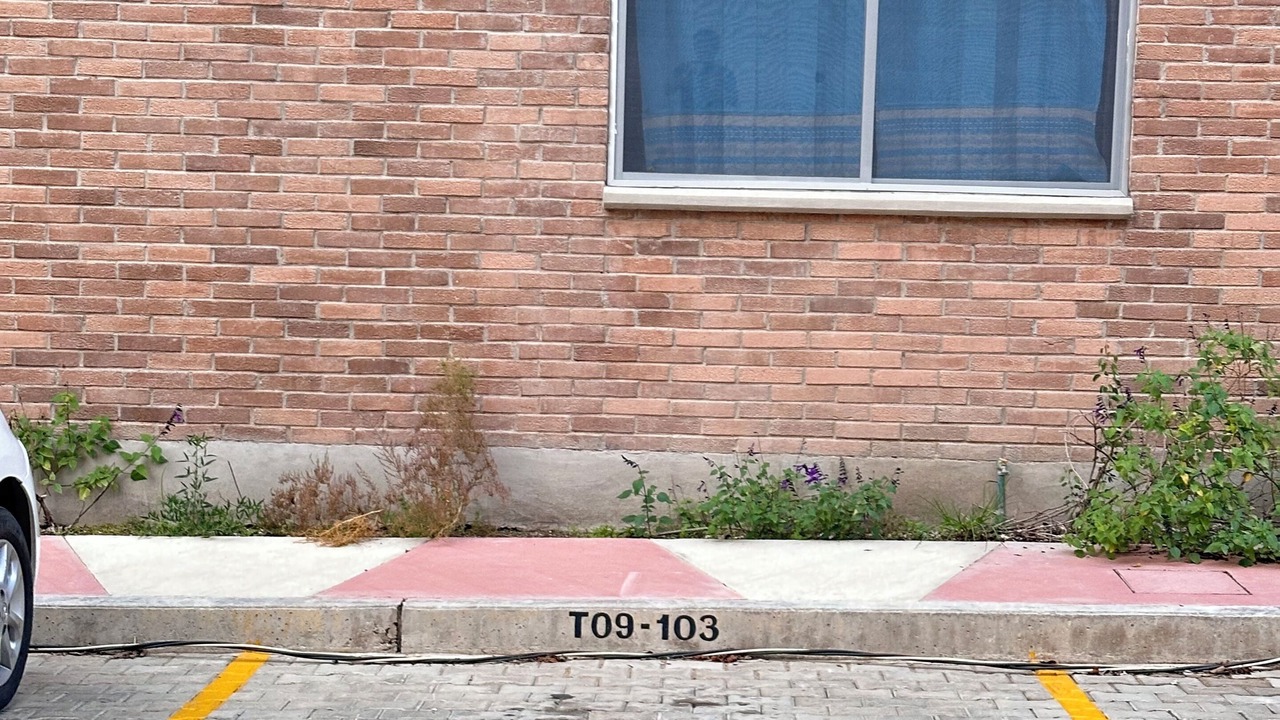 Photo of Outdoor in Oaxaca