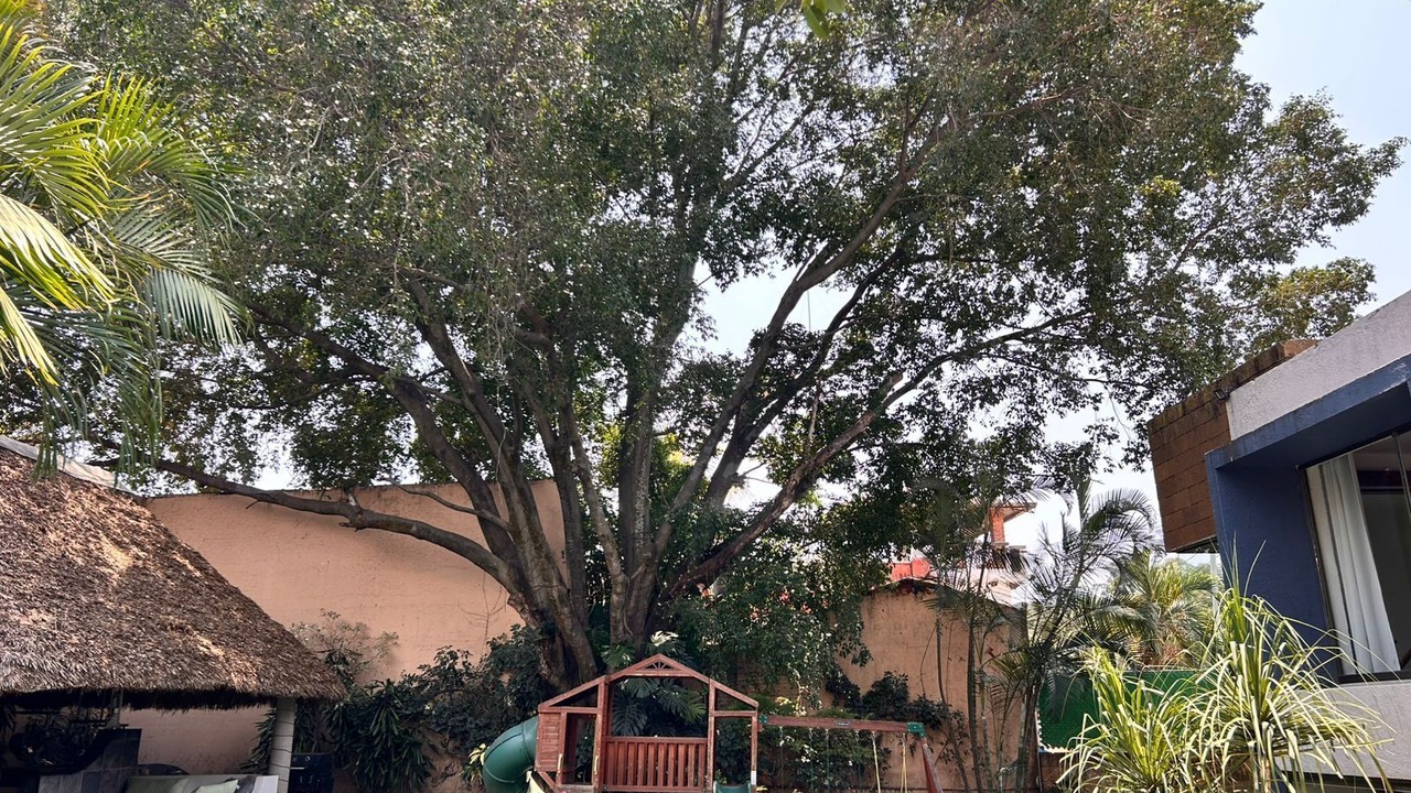 Photo of Outdoor in Miraval