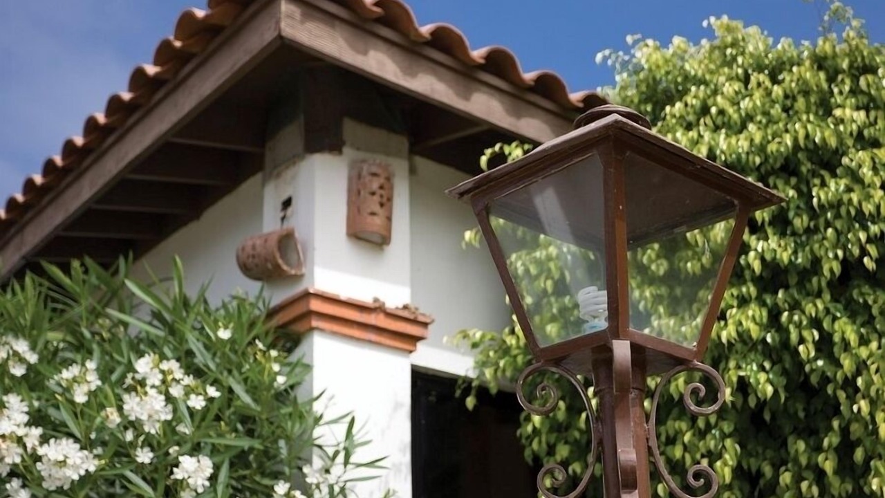 Photo of Outdoor in La Paloma