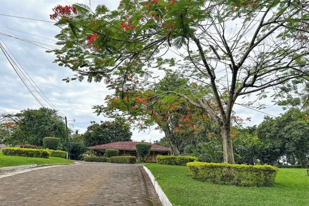 Photo of Outdoor in El Nuevo Palmar