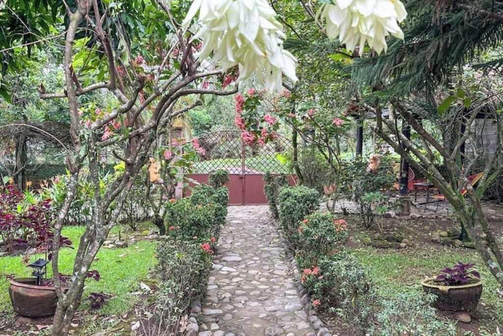 Photo of Outdoor in El Nuevo Palmar
