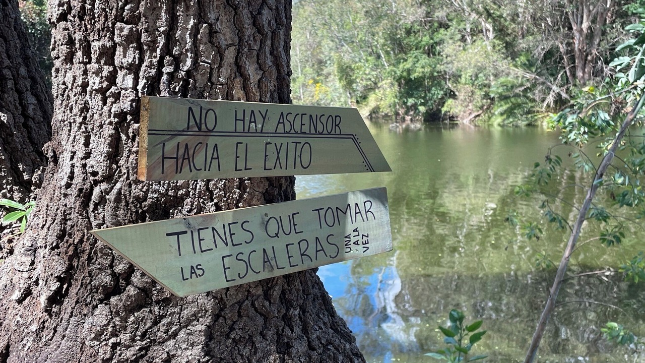 Photo of Others in El Oasis Valsequillo