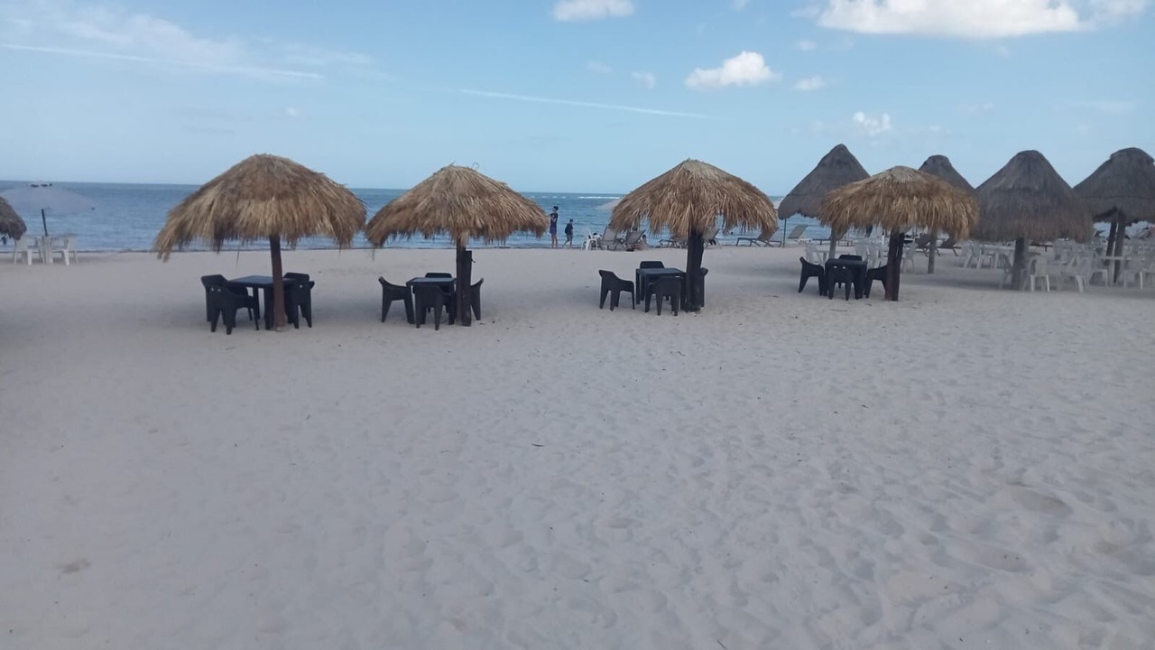 Photo of Others in Progreso Municipality