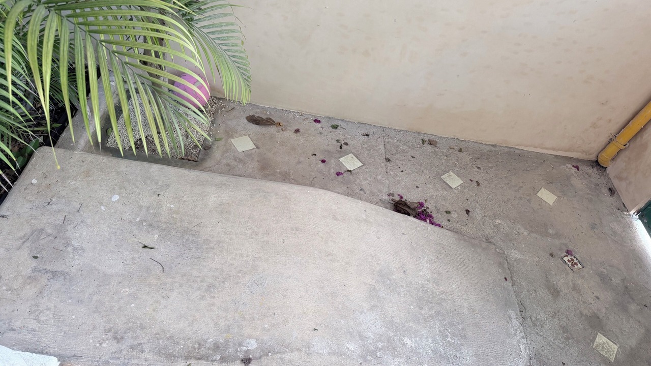 Photo of Outdoor in Progreso Municipality