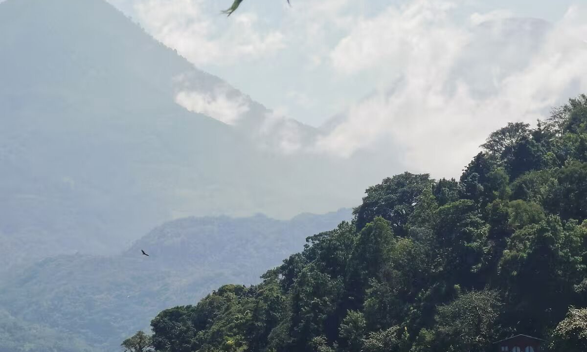 Photo of Others in Jaibalito