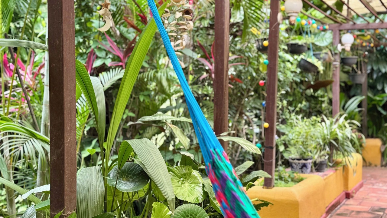 Photo of Outdoor in Comala