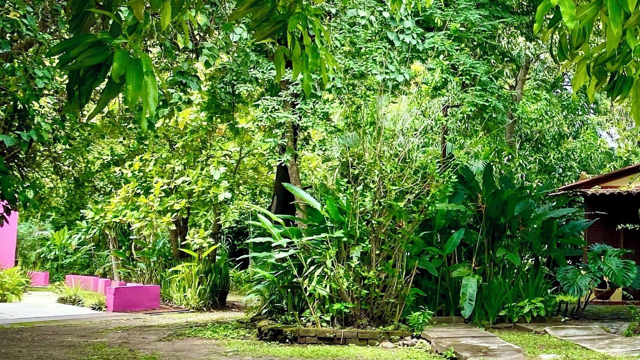 Photo of Outdoor in Comala