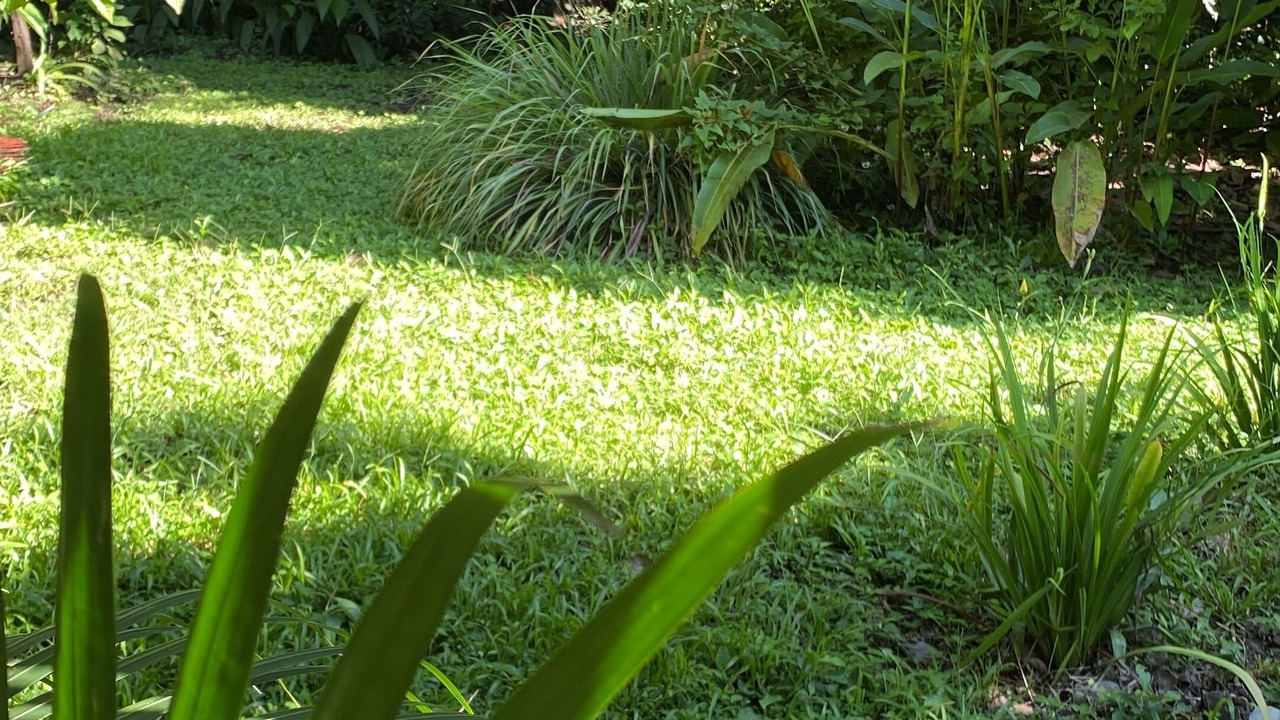 Photo of Outdoor in Comala