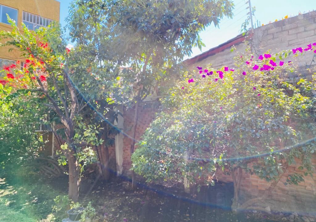 Photo of Outdoor in Downtown Queretaro