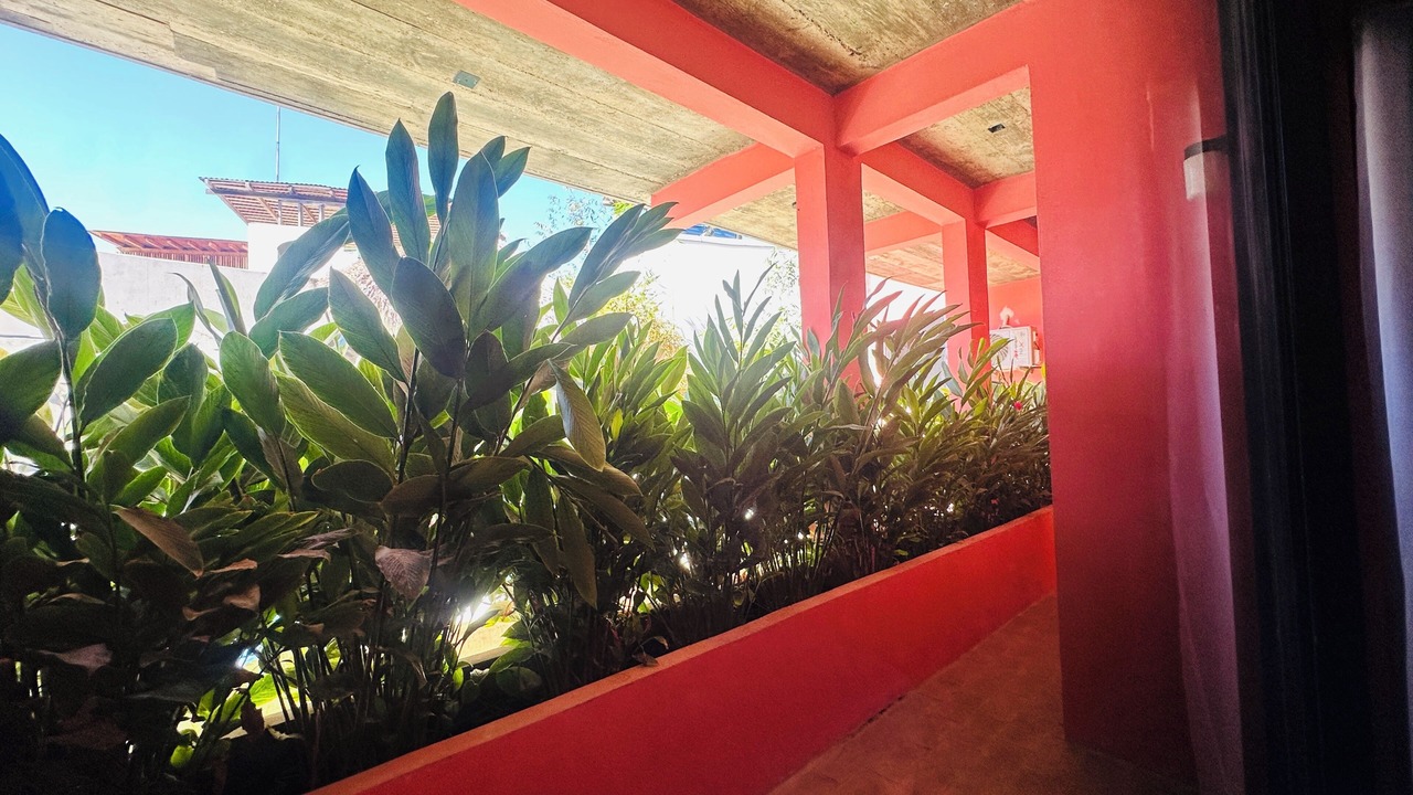 Photo of Outdoor in Los Tamarindos