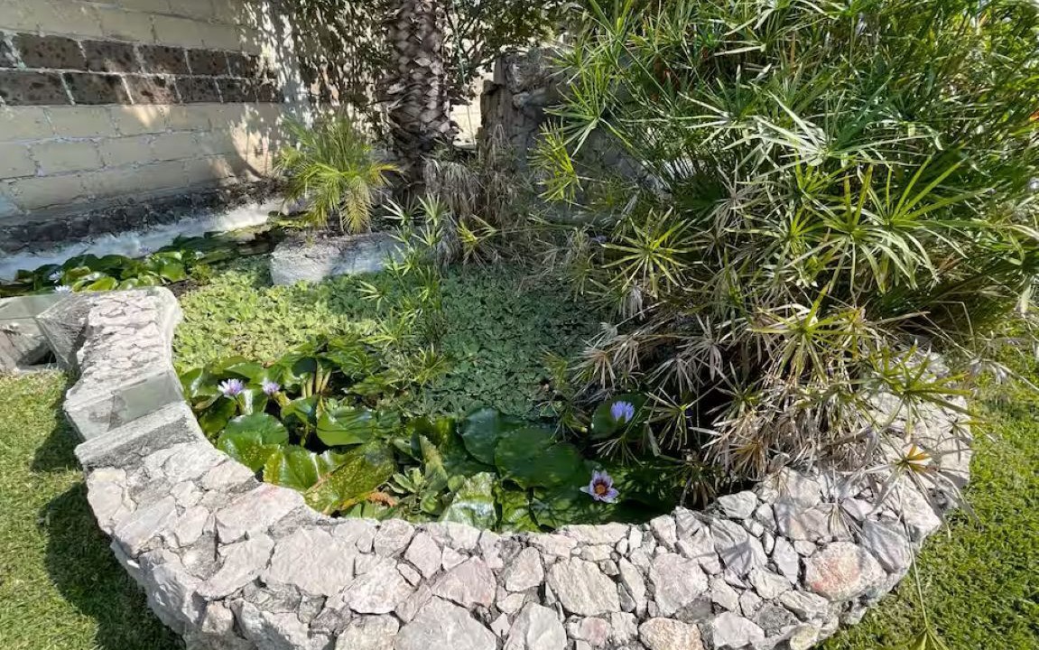 Photo of Outdoor in Yautepec