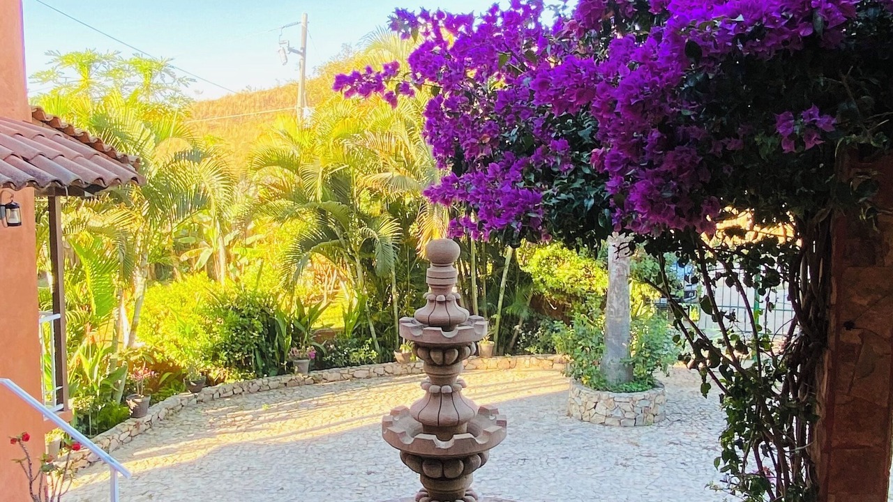 Photo of Outdoor in El Tuito