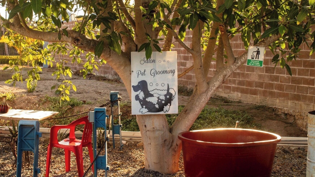 Photo of Outdoor in Barra de Navidad