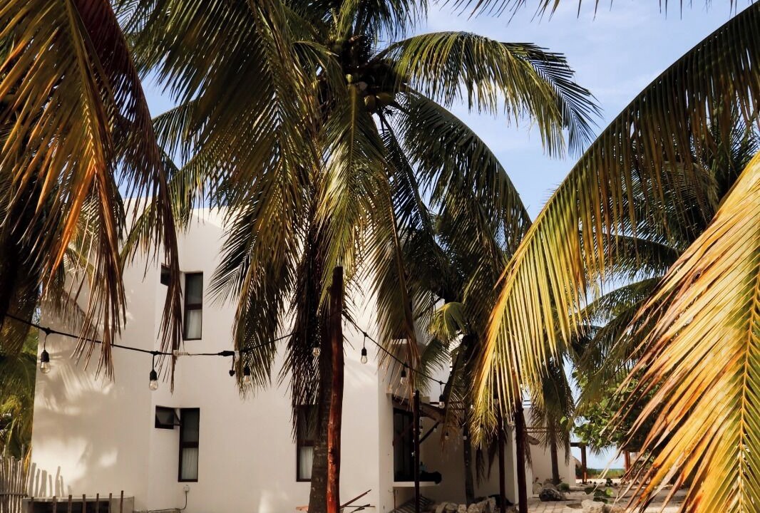 Photo of Outdoor in Telchac Puerto