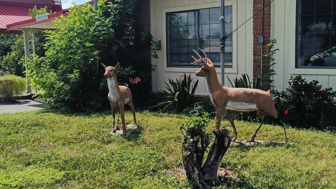 Photo of Others in Pharr