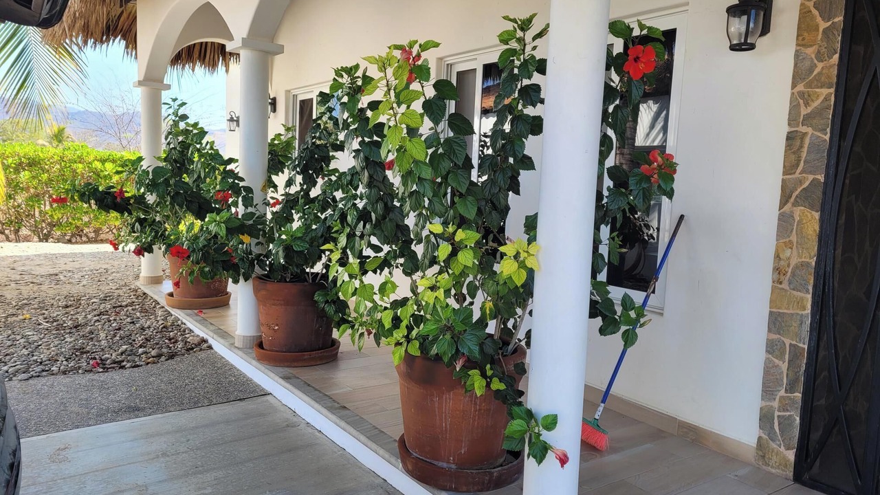 Photo of Outdoor in San Pedro Mixtepec