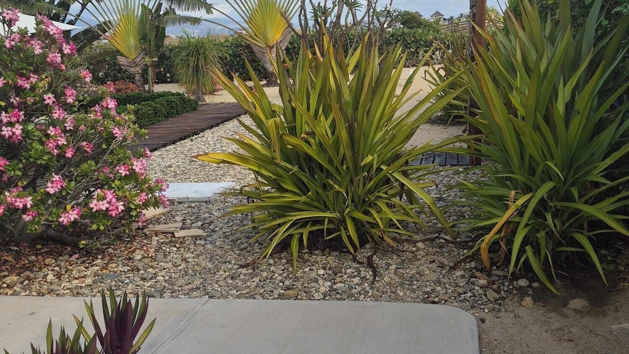 Photo of Outdoor in San Pedro Mixtepec