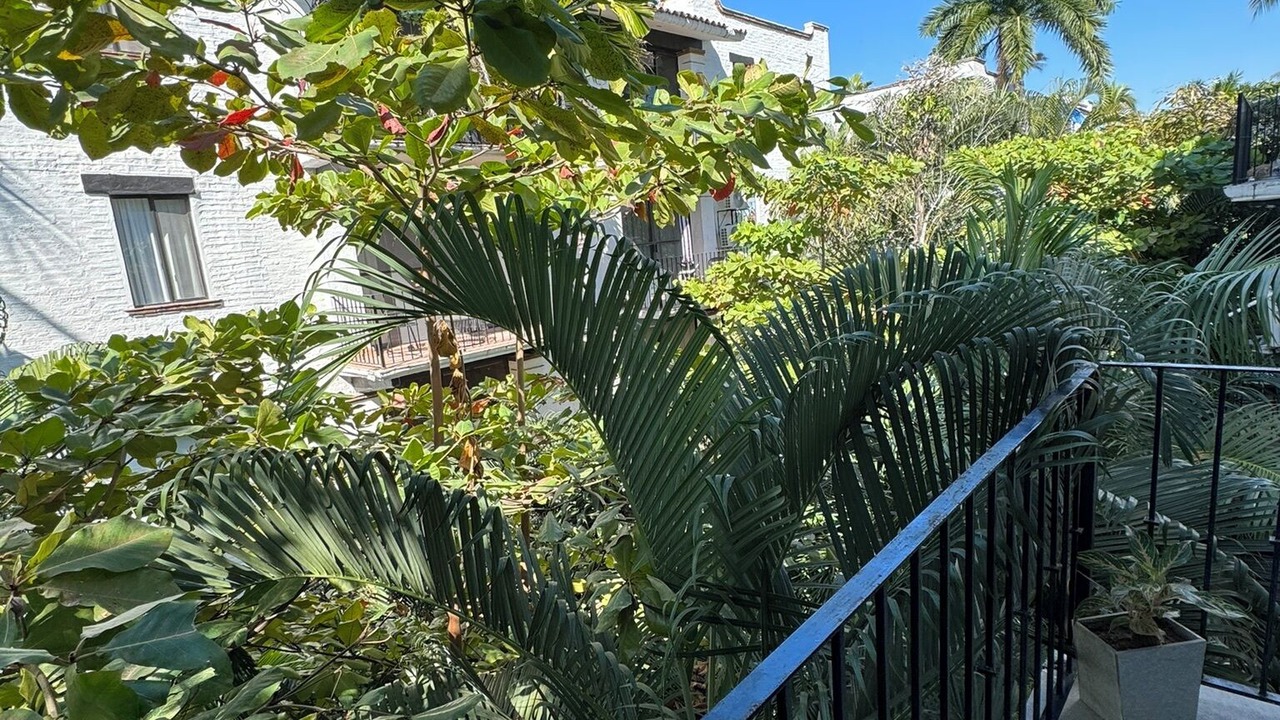 Photo of Outdoor in Fluvial Vallarta