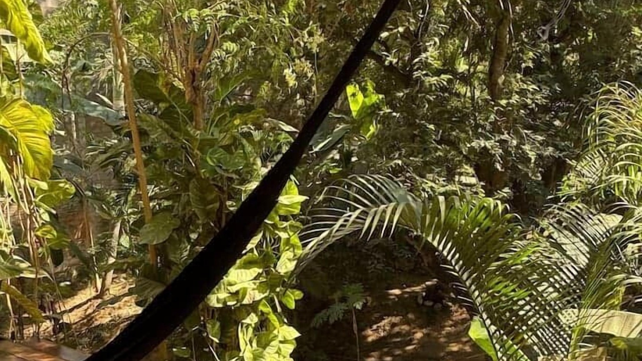 Photo of Outdoor in Mazunte