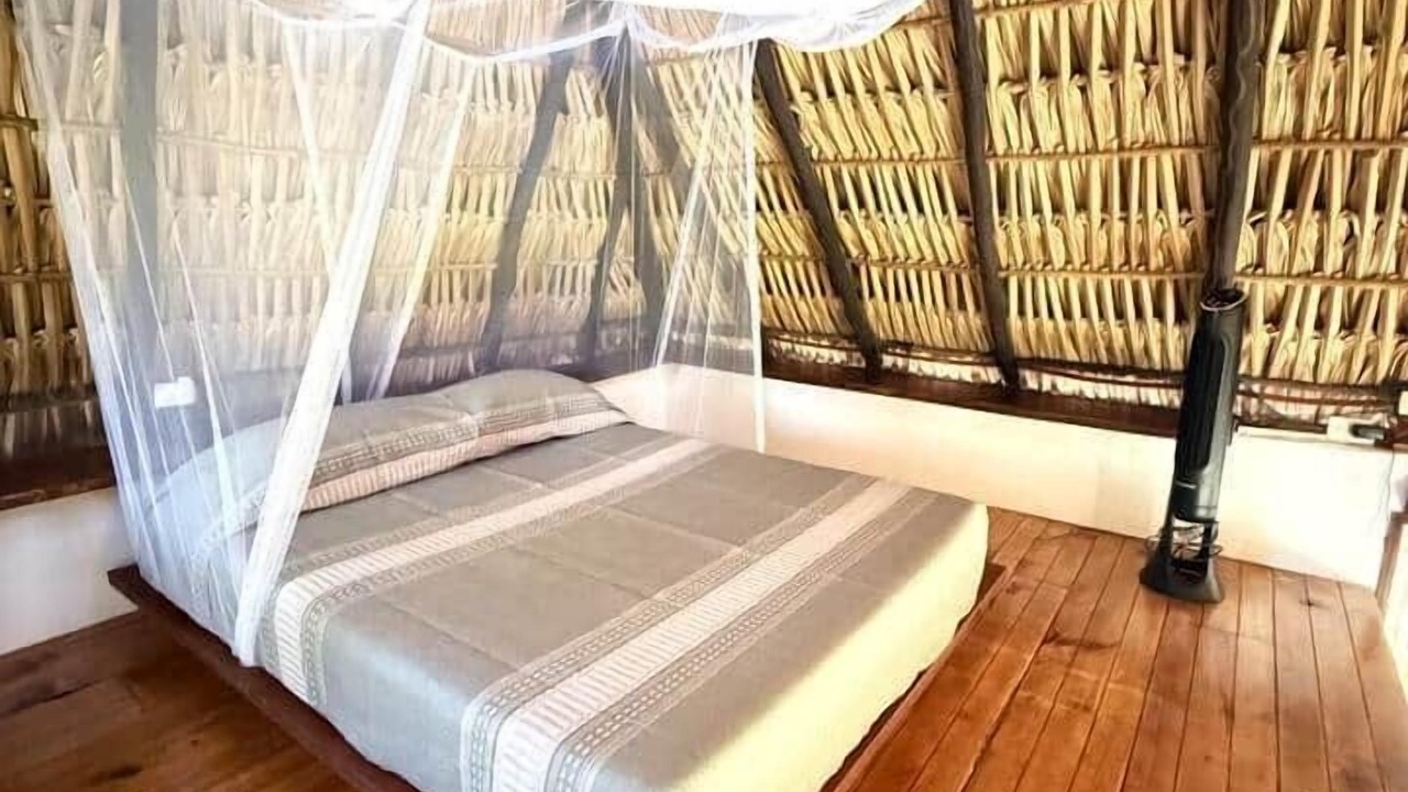 Photo of Bedroom in Mazunte