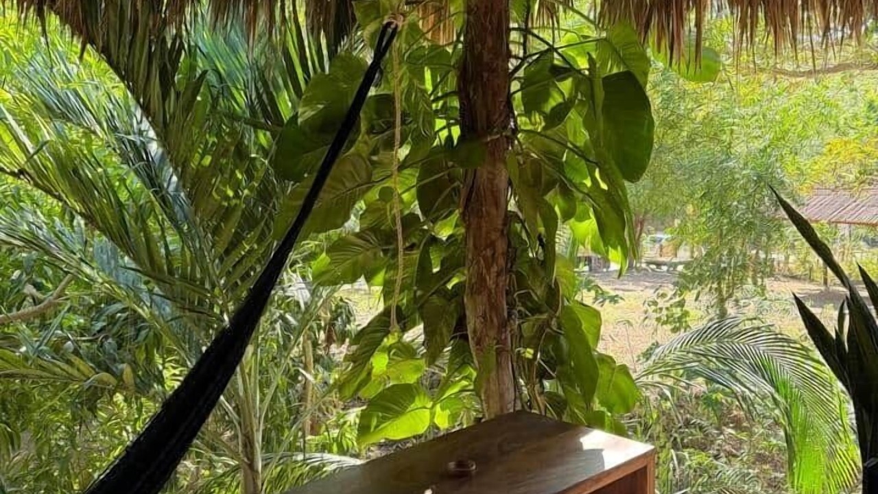 Photo of Patio Balcony in Mazunte