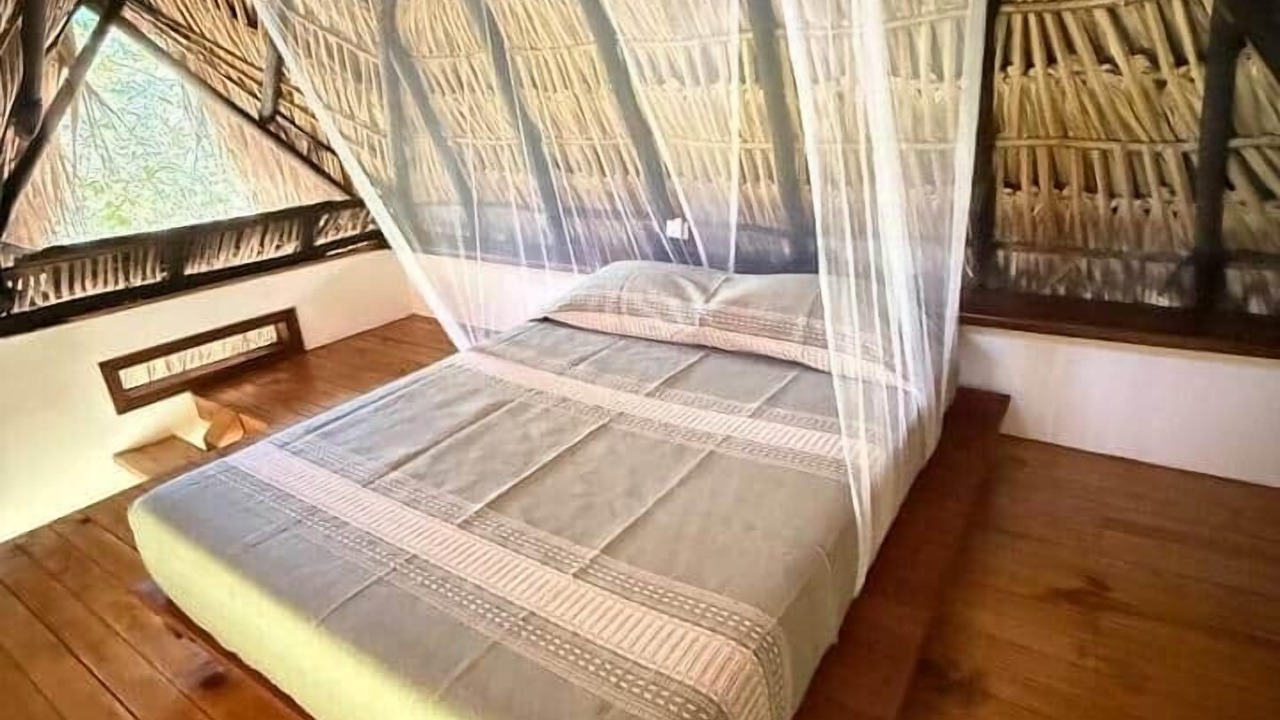 Photo of Bedroom in Mazunte